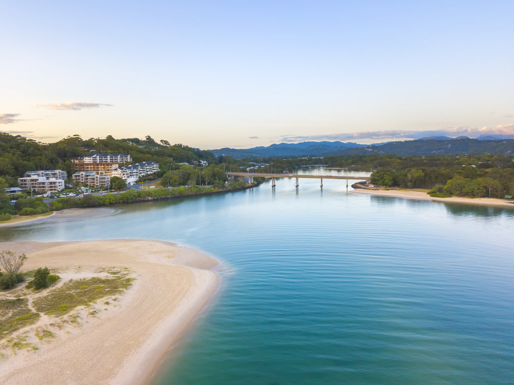 Dog friendly beaches in Queensland