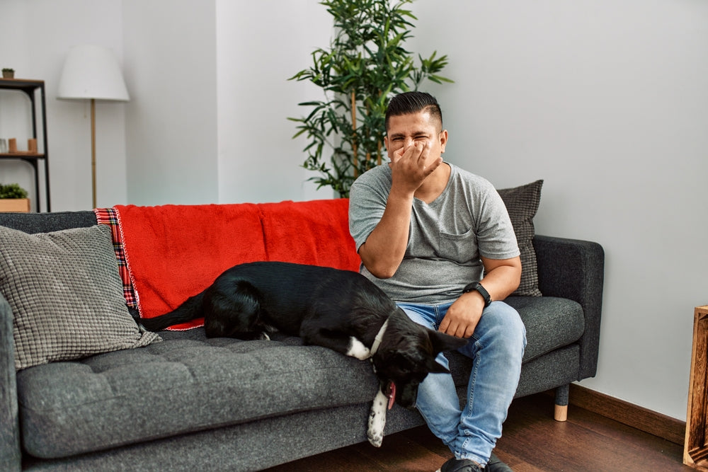 dog owner covering his nose because of dog smell