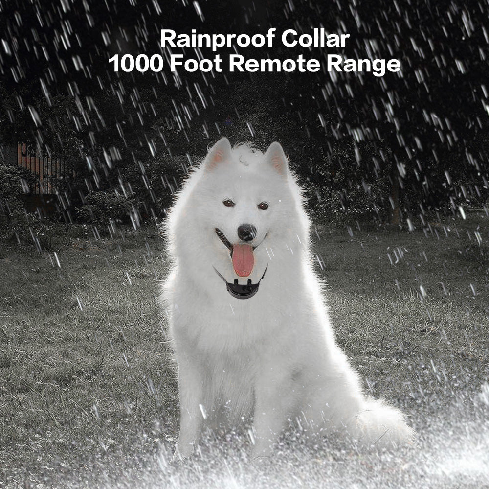 Dog Training Collar Remote Activated - Professional Grade - 2025 Model with rubber coated contact points - Anti Barking & Dog Training (Spare Collar Only)