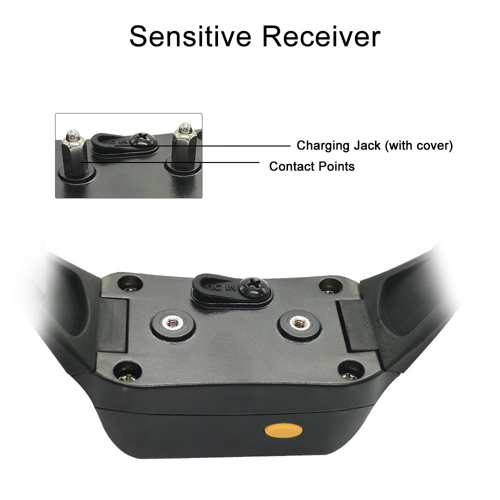 Widely used dog remote control training collars electronic training controller P-620