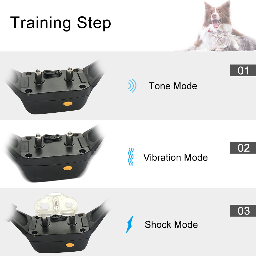 Widely used dog remote control training collars electronic training controller P-620