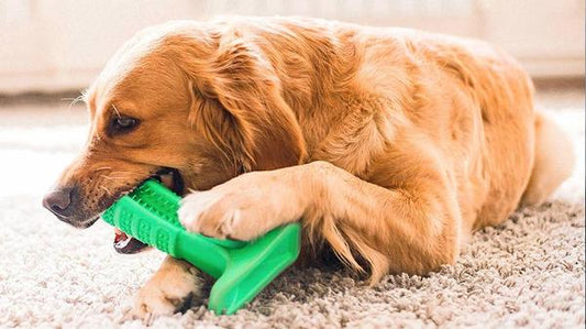 Organic Dog Toothbrush