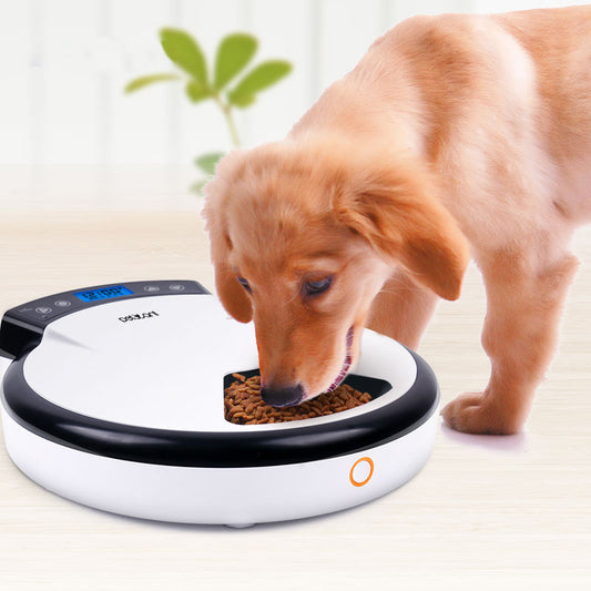 Automatic Dog Feeder - Free shipping + 1 year warranty