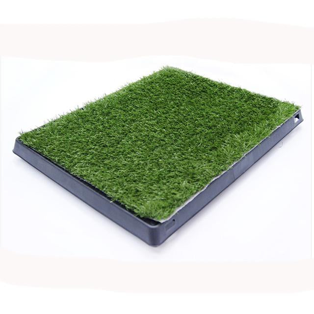 Puppy grass pad hotsell