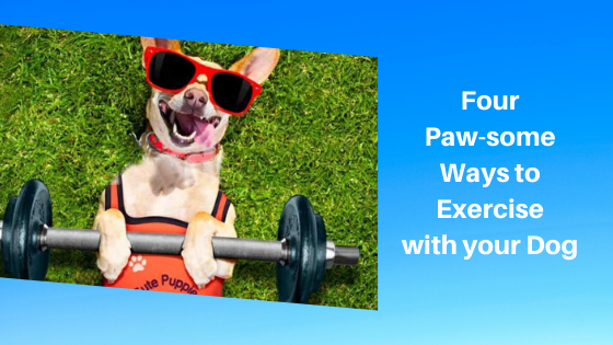 Four Paw-some Ways to Exercise with your Dog