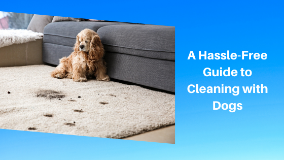 A Hassle-Free Guide to Cleaning with Dogs