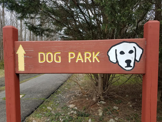 Going to the Dog Park? Tips for a Great Time