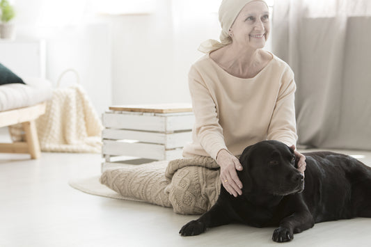 Why Dogs are Great for the Elderly