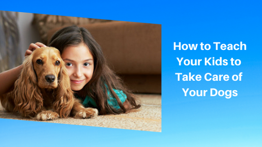 How to Teach Your Kids to Take Care of Your Dogs