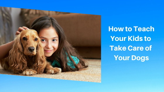 How to Teach Your Kids to Take Care of Your Dogs – Dog Gear