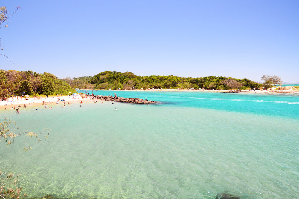 Dog  Friendly Beaches in New South Wales