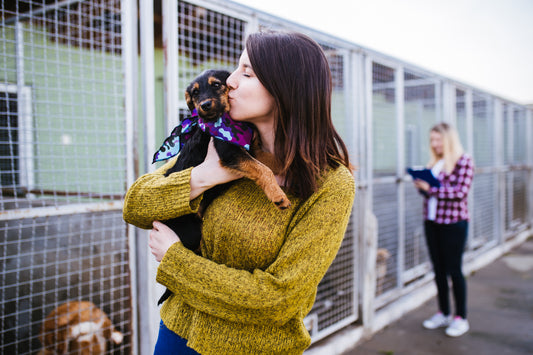 woman hugging a shelter dog