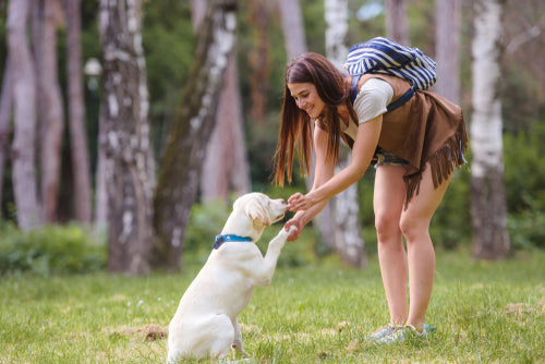 How to Work from Home with a Playful Pooch