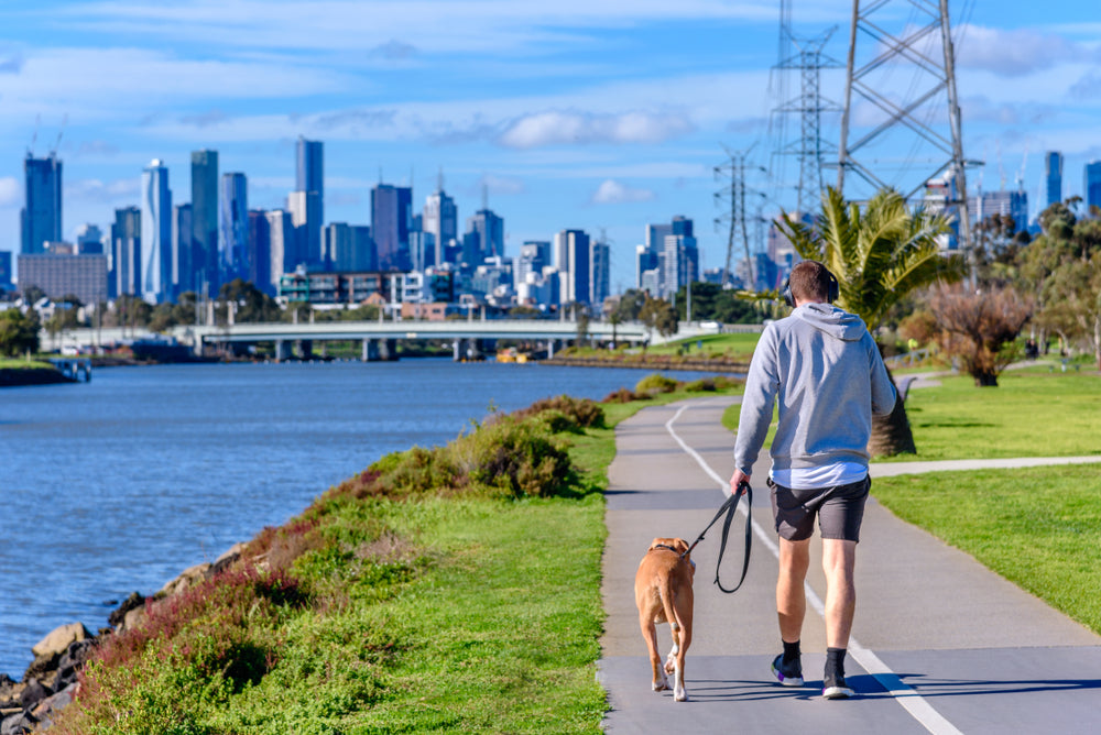 Best Dog Parks in Sydney