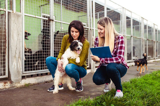 woman adopting a dog from a shelter