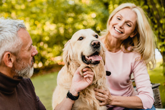 an old couple with their senior dog