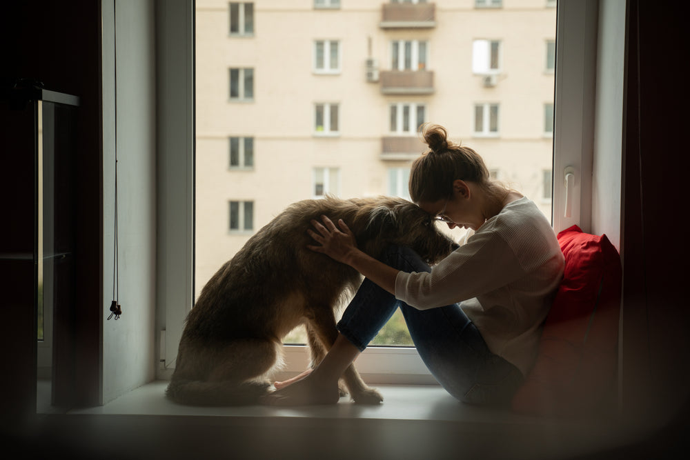 dog owner hugging their dog