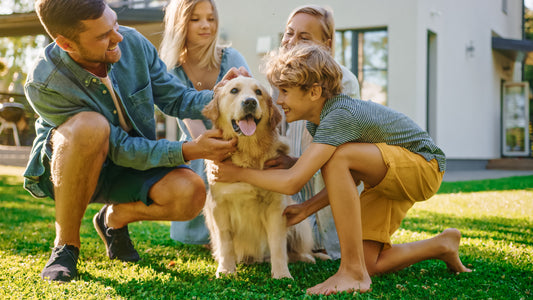 family happily playing with their dog outside