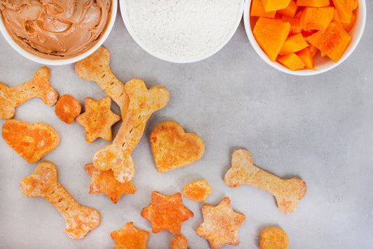 Homemade Dog Treats