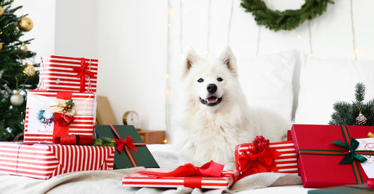 Holiday Gift Guide for Pets and Pet Lovers!