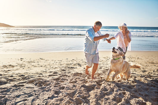 A couple and their dog playing at the beach