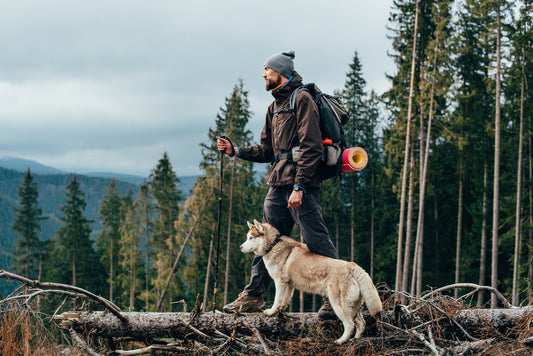 dog hiking with their dog owner