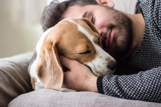 7 Ways to Better Your Relationship with Your Dog
