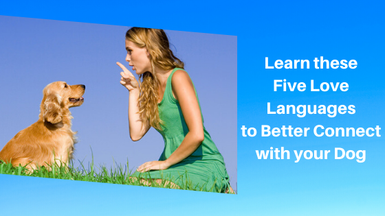 Learn these Five Love Languages to Better Connect with your Dog