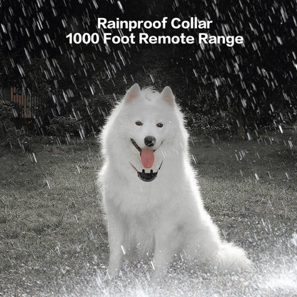 Dog Training Collar  Remote Activated - Professional Grade - 2025 Model with rubber coated contact points - Anti Barking & Dog Training (Spare Collar Only)