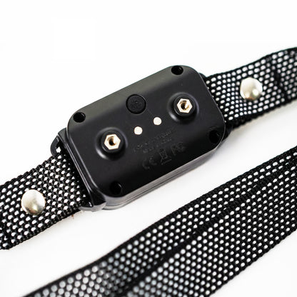 Dog Training Collar with Remote – Waterproof, 500m Range, Beep, Vibration & Shock Modes