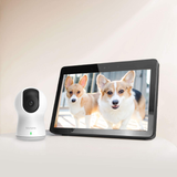 Dog Camera by blurams - Pet Wireless Camera CCTV System 1080p FHD
