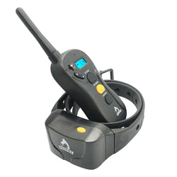 Widely used dog remote control training collars electronic training controller P-620