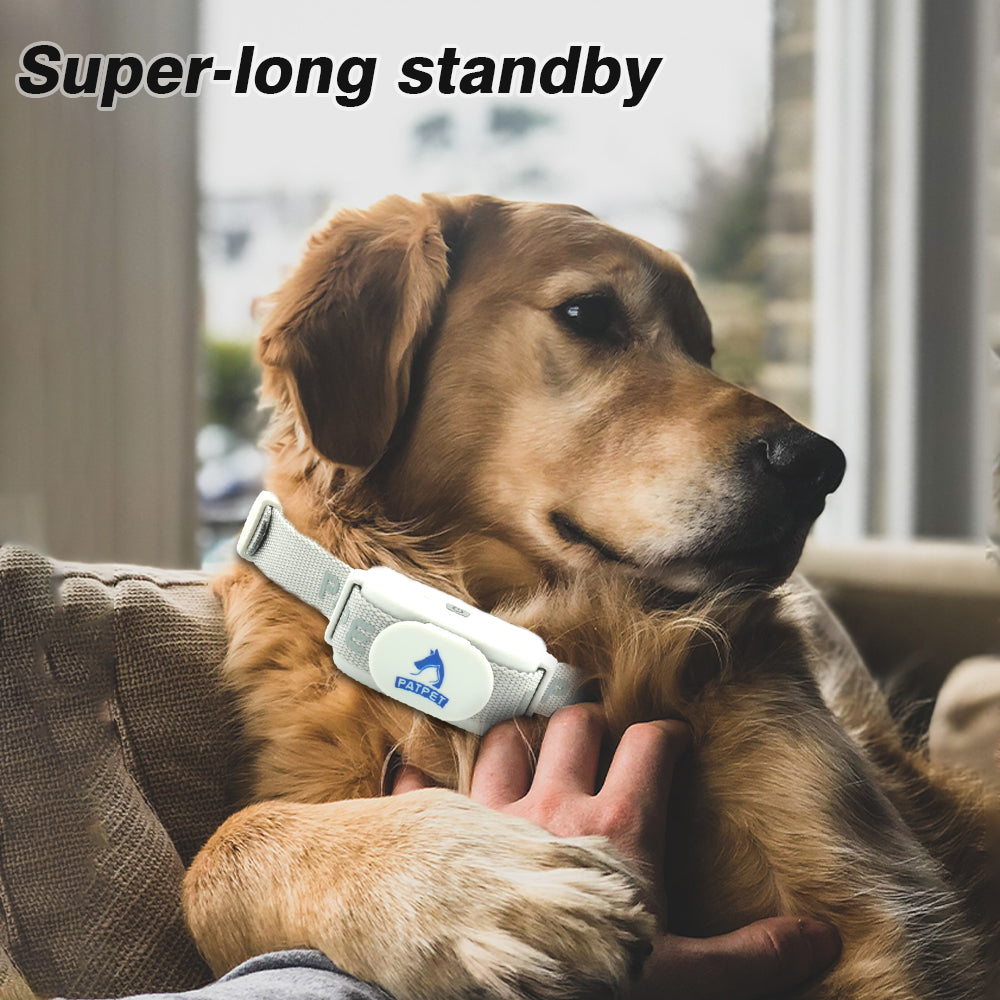 NEW Automatic dog collar with tone static shock dog rechargeable no bark collar