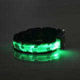 Dog LED Light Up Strap Collar USB Rechargeable